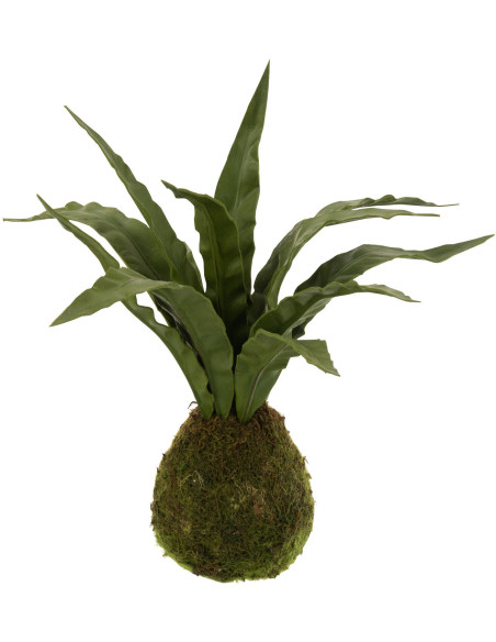 Plante artificielle Langue de belle-mère Hauteur 35 cm en Plastique Vert Halina - 1