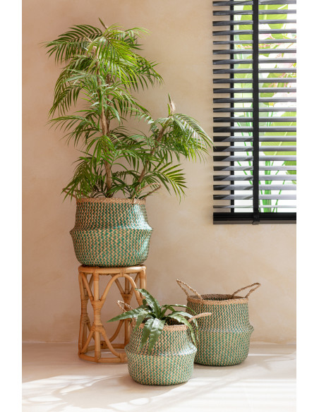 Plante artificielle Langue de belle-mère Hauteur 35 cm en Plastique Vert Halina - 3