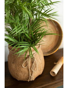 Plante artificielle Palmier XL avec pot Hauteur 84 cm en Plastique Vert Noir Zilvar - 2