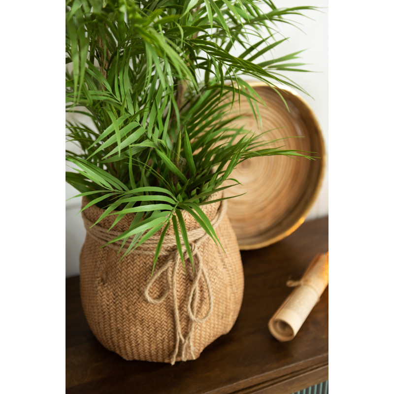 Plante artificielle Palmier XL avec pot Hauteur 84 cm en Plastique Vert Noir Zilvar - 2