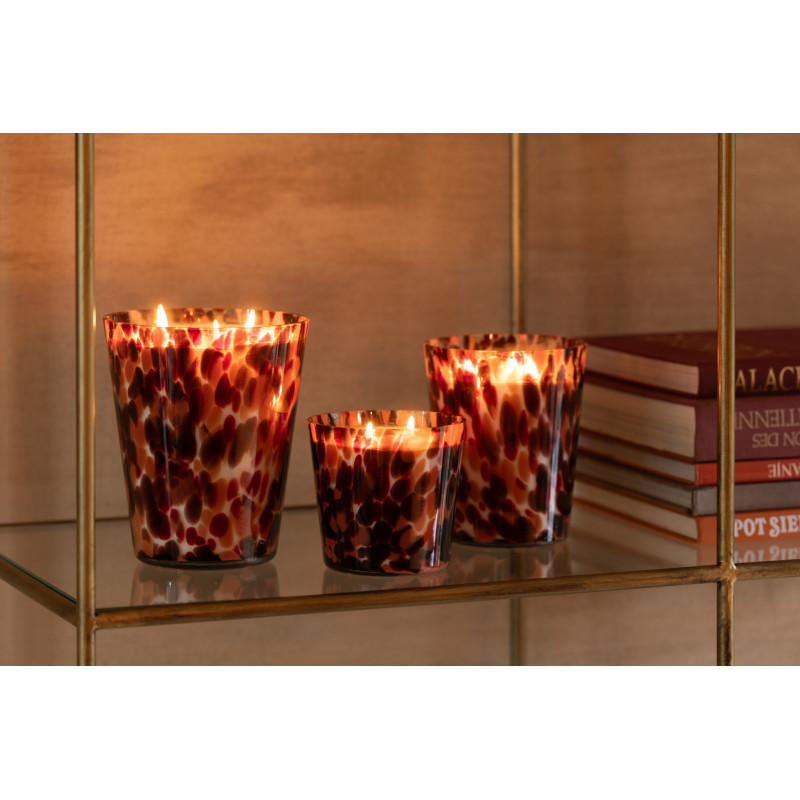 Bougie parfumé luxe longue durée Senteur Boisée Magnificent Birch 50H Noa - 2