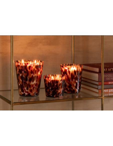 Bougie parfumé luxe longue durée Senteur Boisée Magnificent Birch 50H Noa - 2