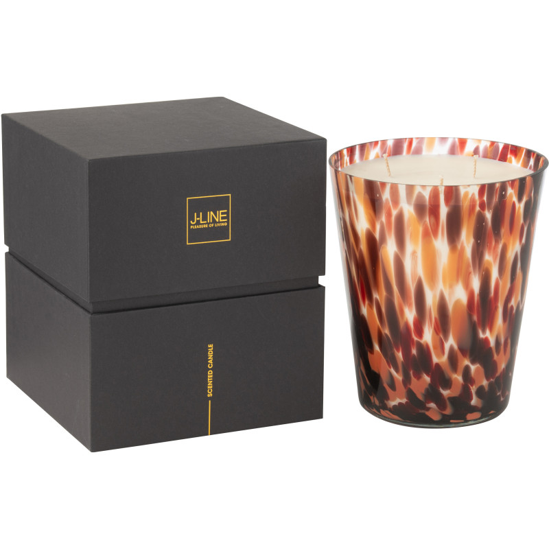 Bougie parfumé luxe longue durée Senteur Boisée Magnificent Birch 95H Noa - 1