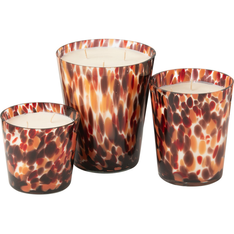 Bougie parfumé luxe longue durée Senteur Boisée Magnificent Birch 95H Noa - 3