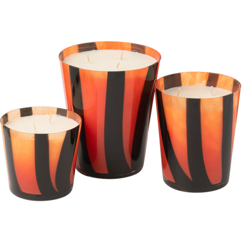 Bougie parfumé luxe longue durée Senteur Fruitée & Florale Wild Protea & Rhubarb 95H Noa - 2