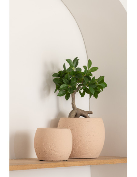 Cache-pot en Céramique Beige Enya Diamètre 28 cm - 2