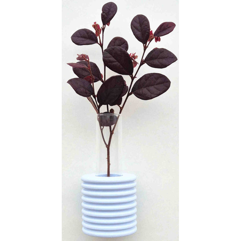 Vase mural Soliflore Hauteur 10 cm en Bois de hêtre Bleu clair Verre Transparent Ribble - 3