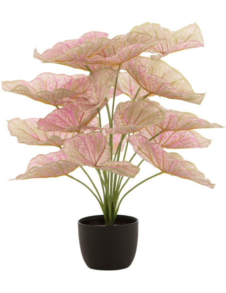 Plante artificielle Caladium Ailes d'anges Hauteur 60 cm en Plastique Rose Vert Avec pot - 1