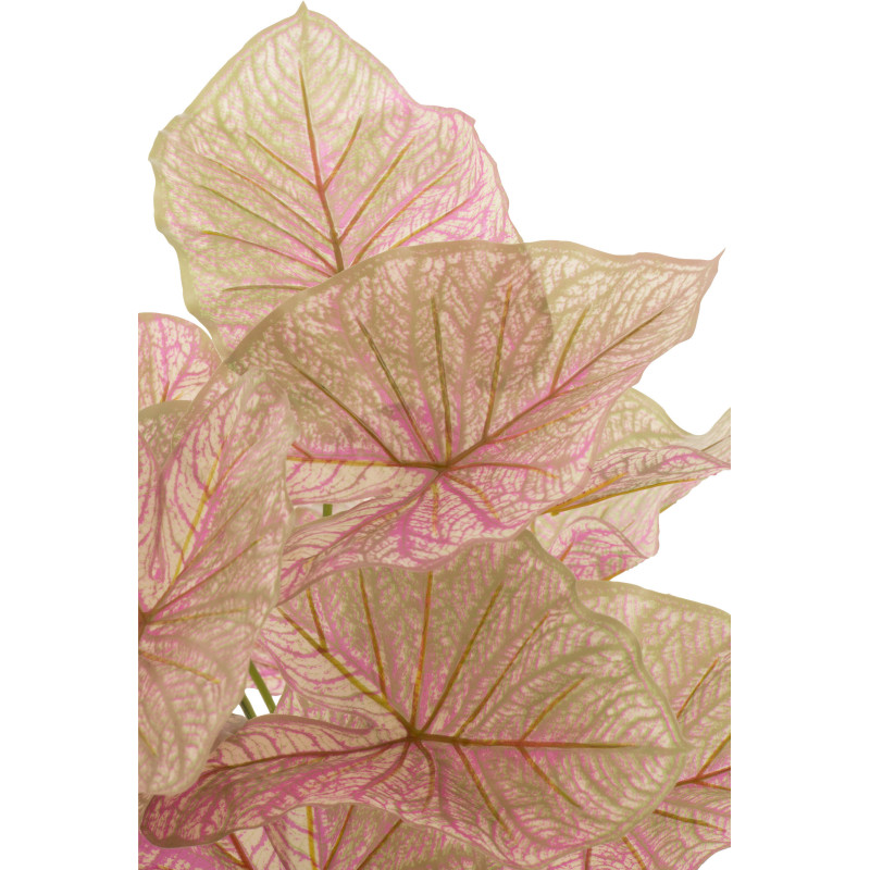 Plante artificielle Caladium Ailes d'anges Hauteur 60 cm en Plastique Rose Vert Avec pot - 3