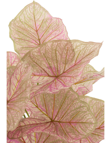 Plante artificielle Caladium Ailes d'anges Hauteur 60 cm en Plastique Rose Vert Avec pot - 3