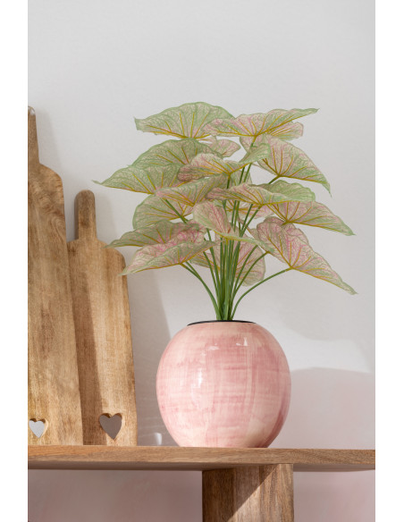 Plante artificielle Caladium Ailes d'anges Hauteur 60 cm en Plastique Rose Vert Avec pot - 5