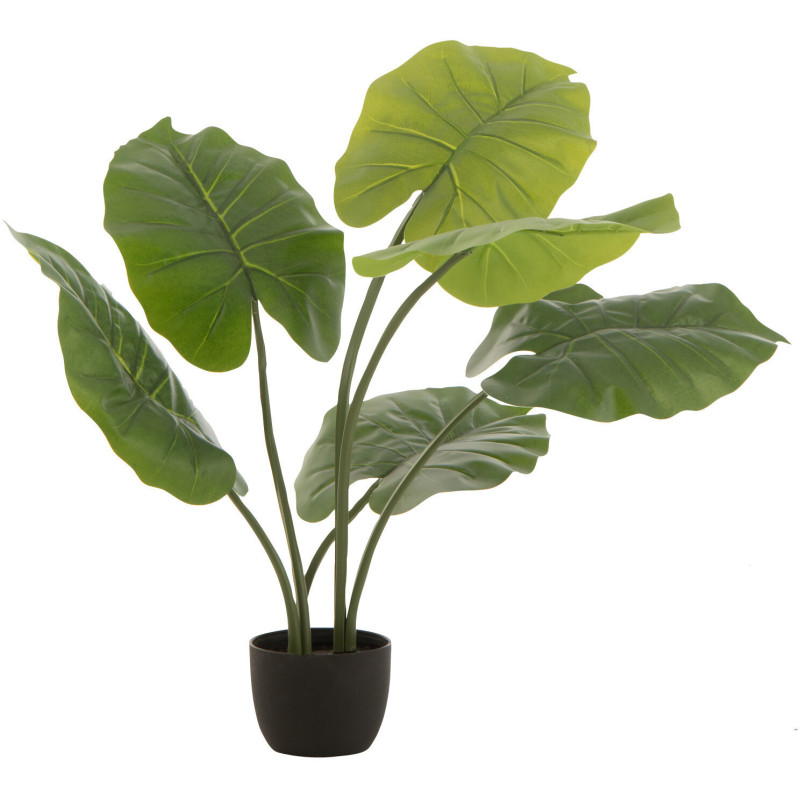 Plante artificielle Taro sauvage Hauteur 80 cm en Plastique Vert Avec pot - 1