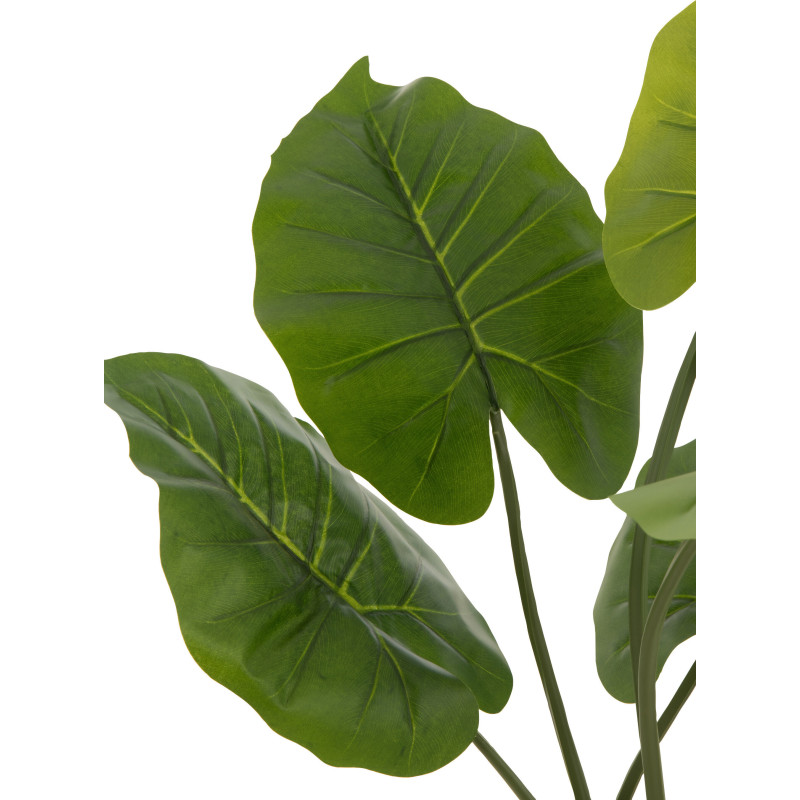 Plante artificielle Taro sauvage Hauteur 80 cm en Plastique Vert Avec pot - 2