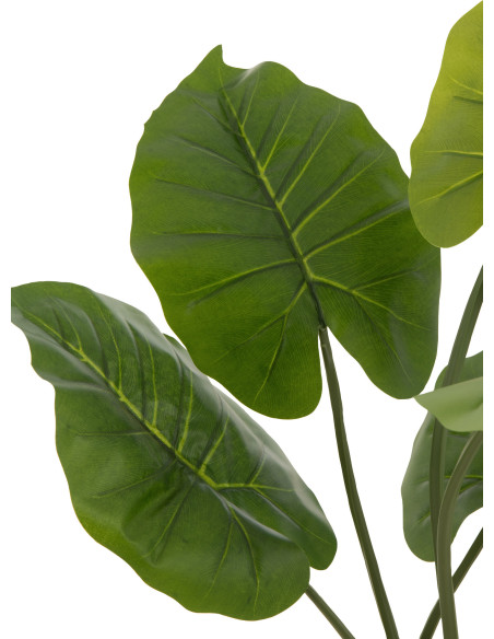 Plante artificielle Taro sauvage Hauteur 80 cm en Plastique Vert Avec pot - 2