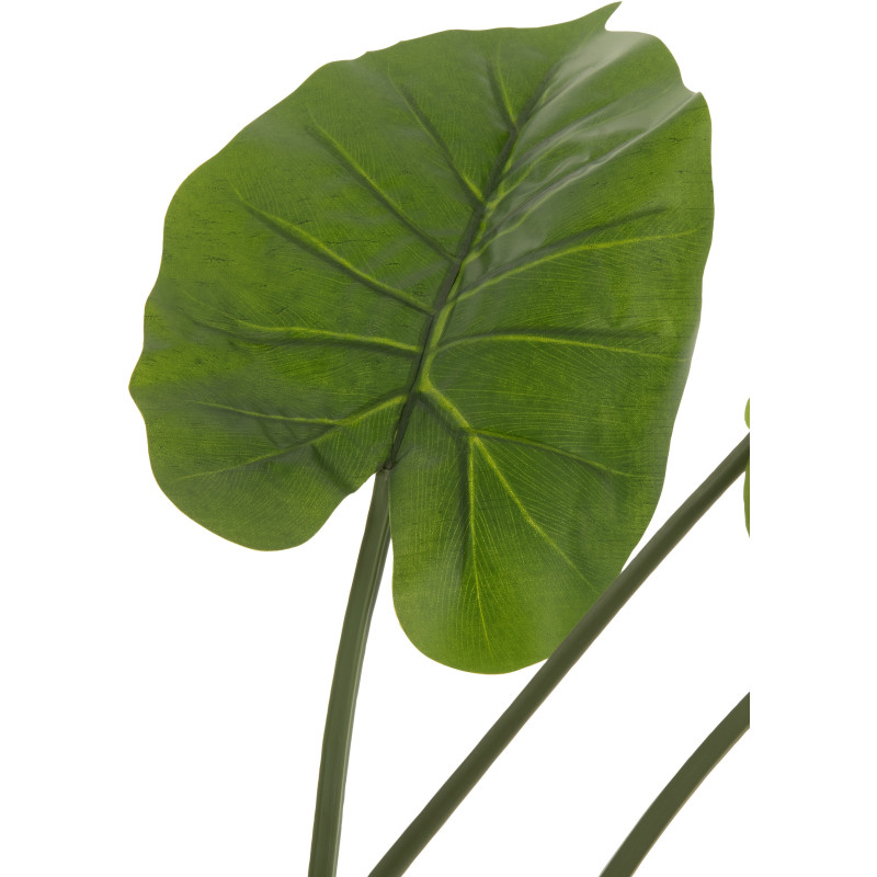 Plante artificielle Taro sauvage Hauteur 125 cm en Plastique Vert Avec pot - 3