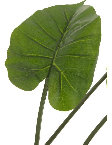 Plante artificielle Taro sauvage Hauteur 125 cm en Plastique Vert Avec pot - 3