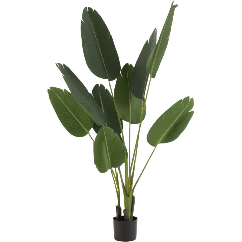 Plante artificielle XL Oiseau de paradis Strelitzia Hauteur 165 cm en Plastique Vert Avec pot - 1
