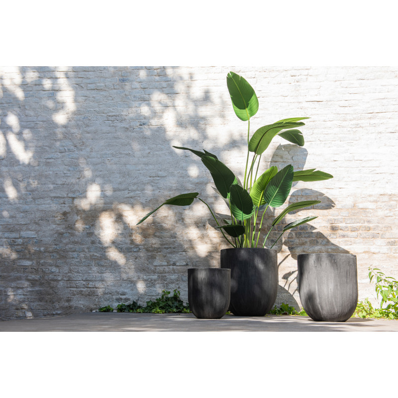 Plante artificielle XL Oiseau de paradis Strelitzia Hauteur 165 cm en Plastique Vert Avec pot - 2