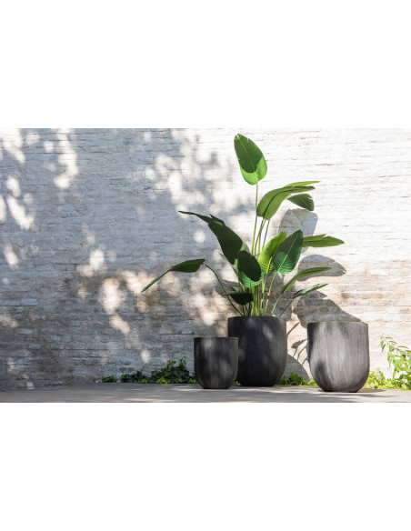Plante artificielle XL Oiseau de paradis Strelitzia Hauteur 165 cm en Plastique Vert Avec pot - 2