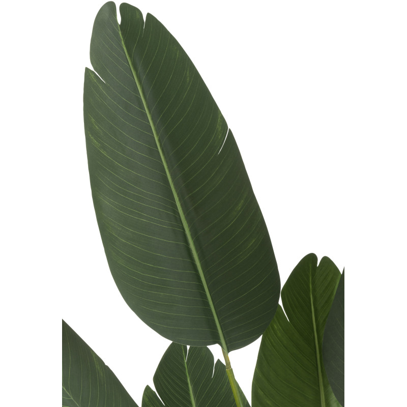Plante artificielle XL Oiseau de paradis Strelitzia Hauteur 165 cm en Plastique Vert Avec pot - 3