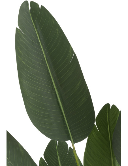 Plante artificielle XL Oiseau de paradis Strelitzia Hauteur 165 cm en Plastique Vert Avec pot - 3