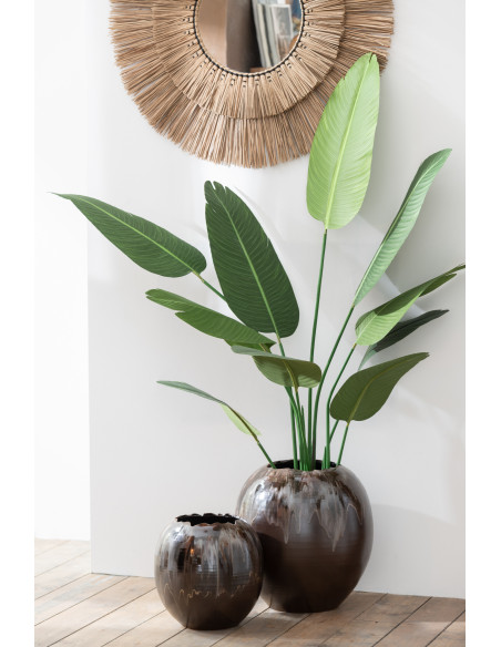 Plante artificielle XL Oiseau de paradis Strelitzia Hauteur 165 cm en Plastique Vert Avec pot - 5