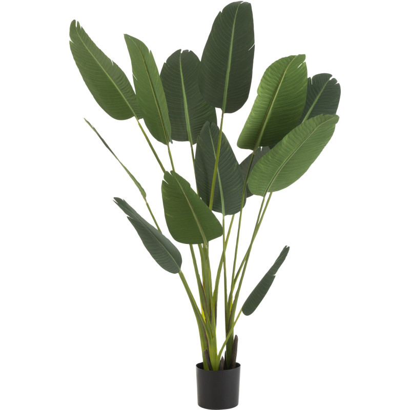 Plante artificielle XL Oiseau de paradis Strelitzia Hauteur 190 cm en Plastique Vert Avec pot - 1