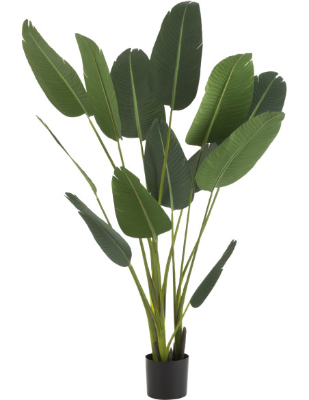 Plante artificielle XL Oiseau de paradis Strelitzia Hauteur 190 cm en Plastique Vert Avec pot - 1