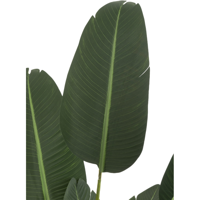 Plante artificielle XL Oiseau de paradis Strelitzia Hauteur 190 cm en Plastique Vert Avec pot - 3