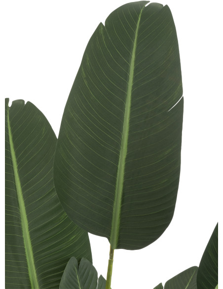 Plante artificielle XL Oiseau de paradis Strelitzia Hauteur 190 cm en Plastique Vert Avec pot - 3