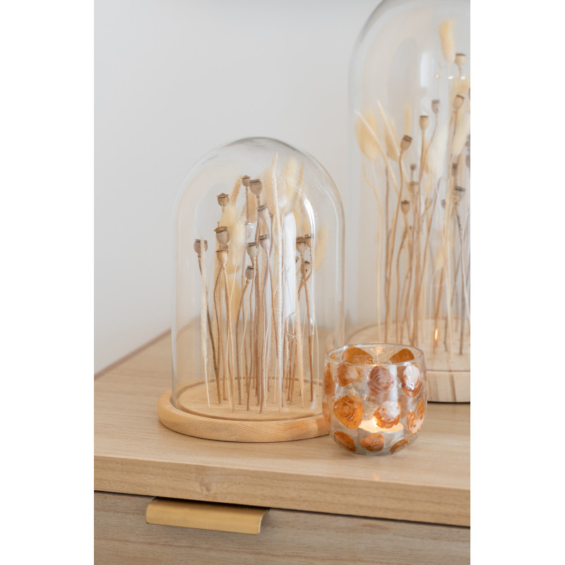 Cloche en verre avec fleurs séchées 37 cm - 2