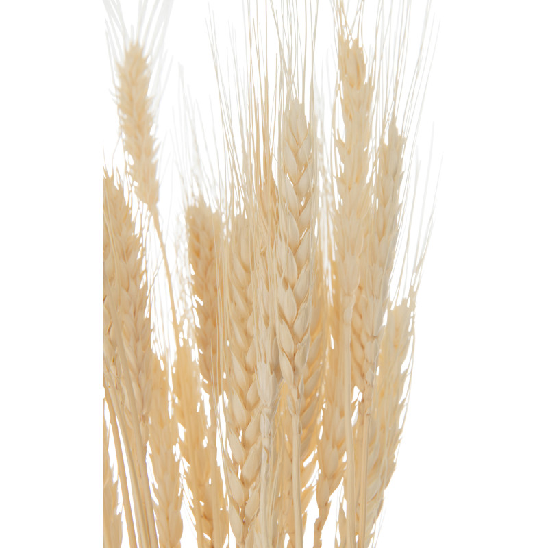 Bouquet Fleurs séchées Avoine XL Hauteur 80 cm en Naturel - 3