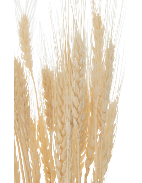 Bouquet Fleurs séchées Avoine XL Hauteur 80 cm en Naturel - 3