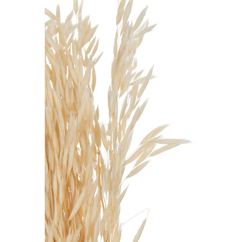 Bouquet Fleurs séchées Avoine XL Hauteur 85 cm en Naturel - 3