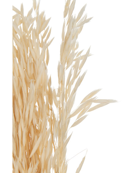Bouquet Fleurs séchées Avoine XL Hauteur 85 cm en Naturel - 3