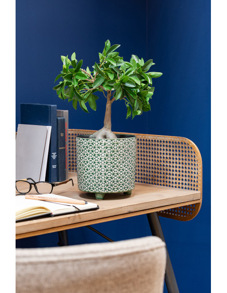 Cache-pot en Céramique Vert Mosaïc Diamètre 16 cm Motif fleurs - 2