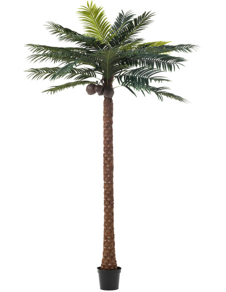 Arbre artificiel réaliste XXL Palmier Noix de coco Hauteur 350 cm en Plastique - 1