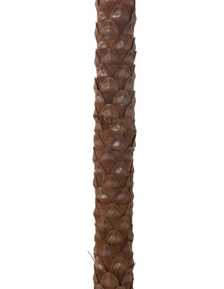 Arbre artificiel réaliste XXL Palmier Noix de coco Hauteur 350 cm en Plastique - 3