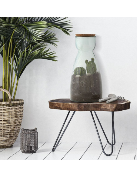 Vase Terrarium avec bouchon Bouteille Hauteur 43 cm en Verre recyclé Transparent Liège Naturel Garden 