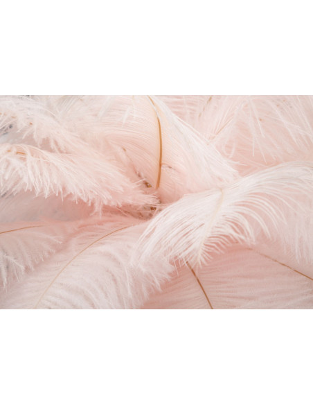 Lampe à poser moderne XL Plumes Hauteur 55 cm en Métal Doré Plastique Rose Palm 