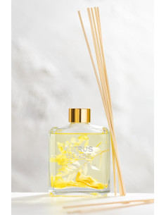 Diffuseur de parfum Senteur Fruitée Sweet Madarin Citrus Sense 180 ml en Verre - 1 2