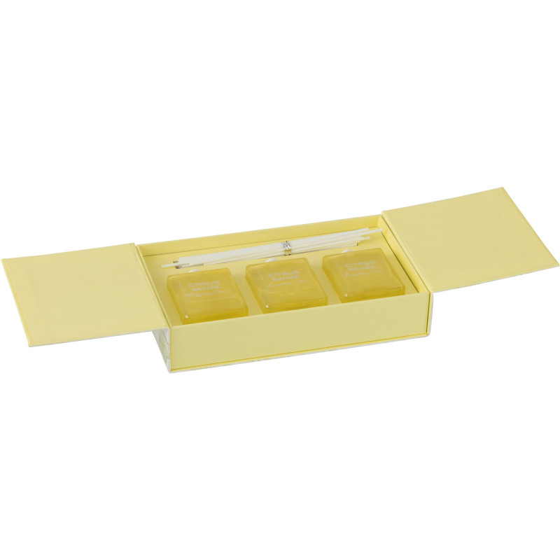 Coffret Diffuseur de parfum Senteur Fraîche Energizing Citrus Citrus Sense 150 ml en Verre - 2