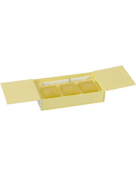 Coffret Diffuseur de parfum Senteur Fraîche Energizing Citrus Citrus Sense 150 ml en Verre - 2
