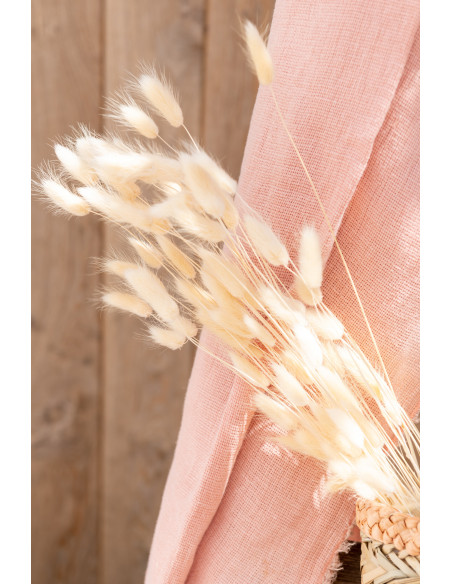 Bouquet Fleurs séchées Queue de lièvre XL Hauteur 85 cm en Écru - 3