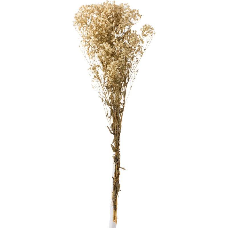 Bouquet Fleurs séchées Gypsophile XL Hauteur 85 cm en Blanc - 1