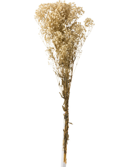 Bouquet Fleurs séchées Gypsophile XL Hauteur 85 cm en Blanc - 1