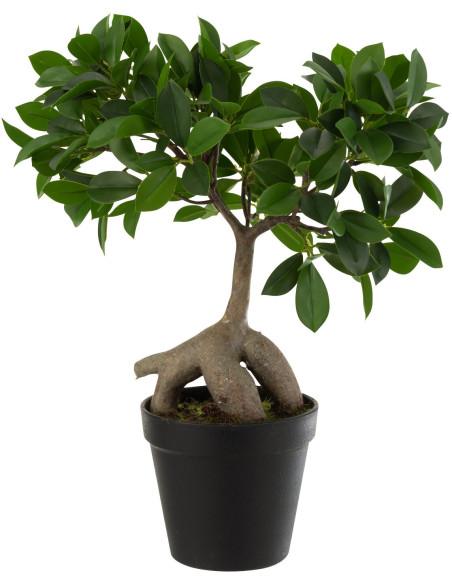 Arbre artificiel réaliste Ficus Hauteur 35 cm en Plastique - 1