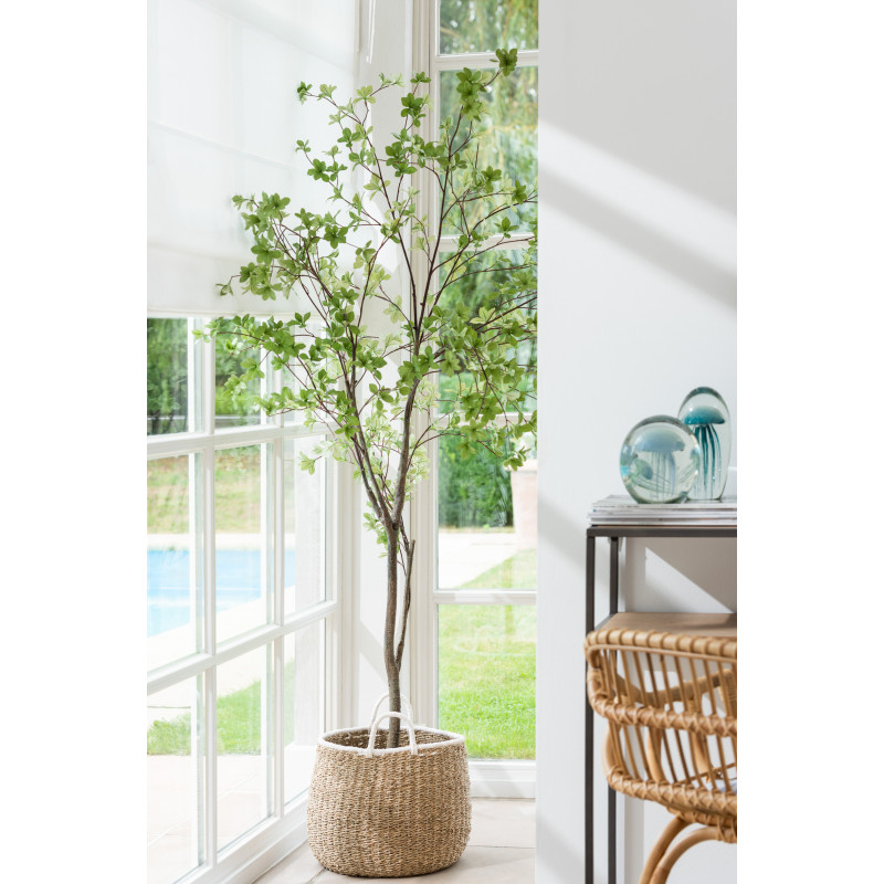 Plante artificielle XL Ficus Hauteur 190 cm en Plastique Vert Avec pot - 4