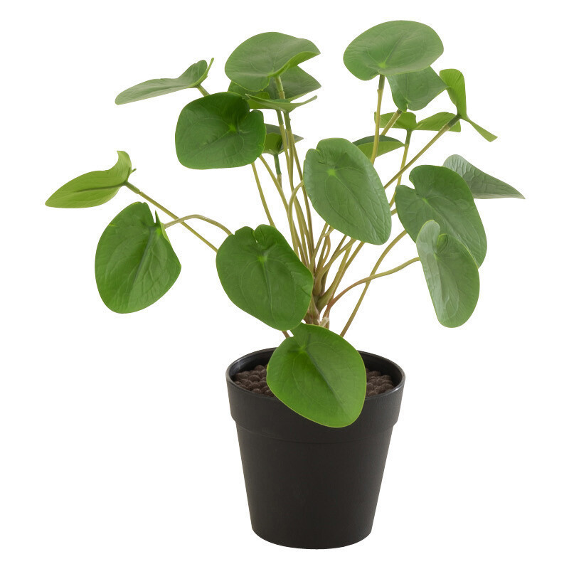 Plante artificielle Pilea peperomioides Hauteur 30 cm en Plastique Vert Avec pot - 1