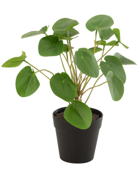 Plante artificielle Pilea peperomioides Hauteur 30 cm en Plastique Vert Avec pot - 1